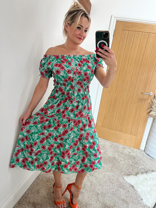 Shirred Waist Tiered Skater Dress - Green/Raspberry Floral